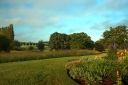attractive-gardens