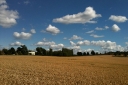 clare-park