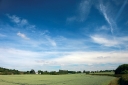 fields